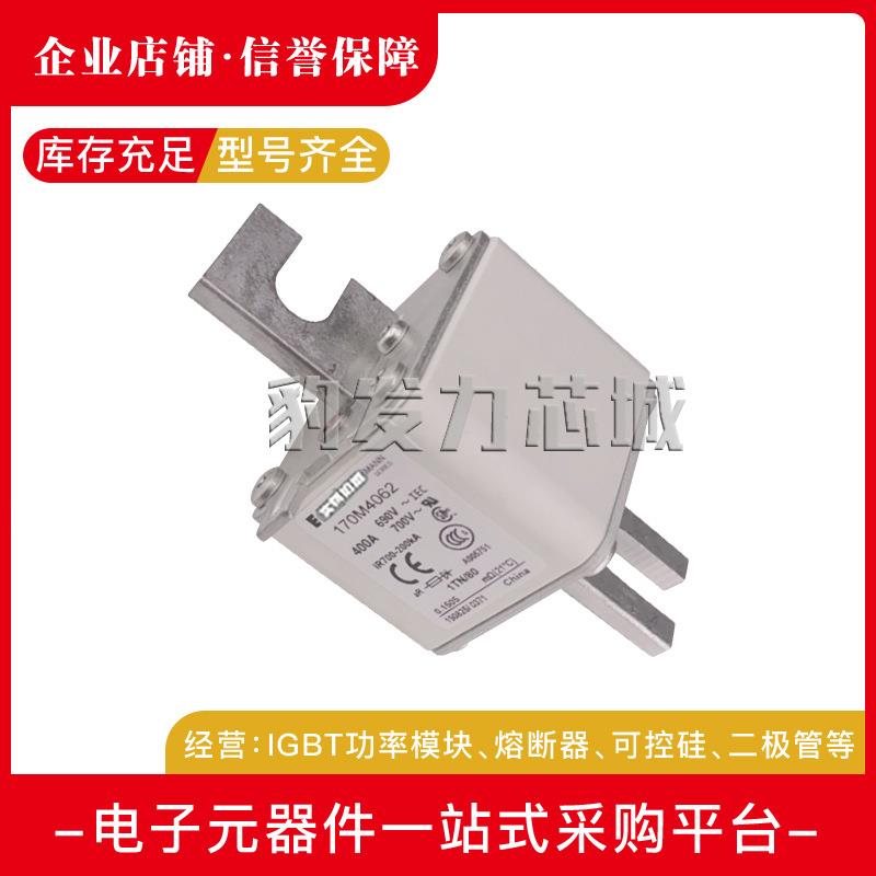 170M4008/4009/4010/4011/4012/4013/4014/15/16/17/18/19熔断器