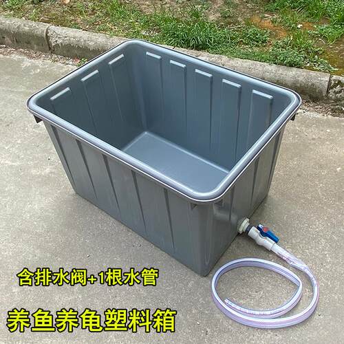 养鱼晒水桶加厚大耐用塑料家专用市场池水产养殖箱有排水管的牛筋