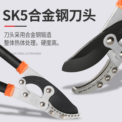 粗枝果树剪枝剪刀大力绿化修枝剪树枝园林专用强力剪子花木枝省力