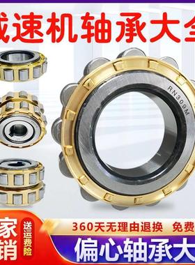 减速机偏心轴承RN205 206 307 309 312 219 222 228 328 204 M