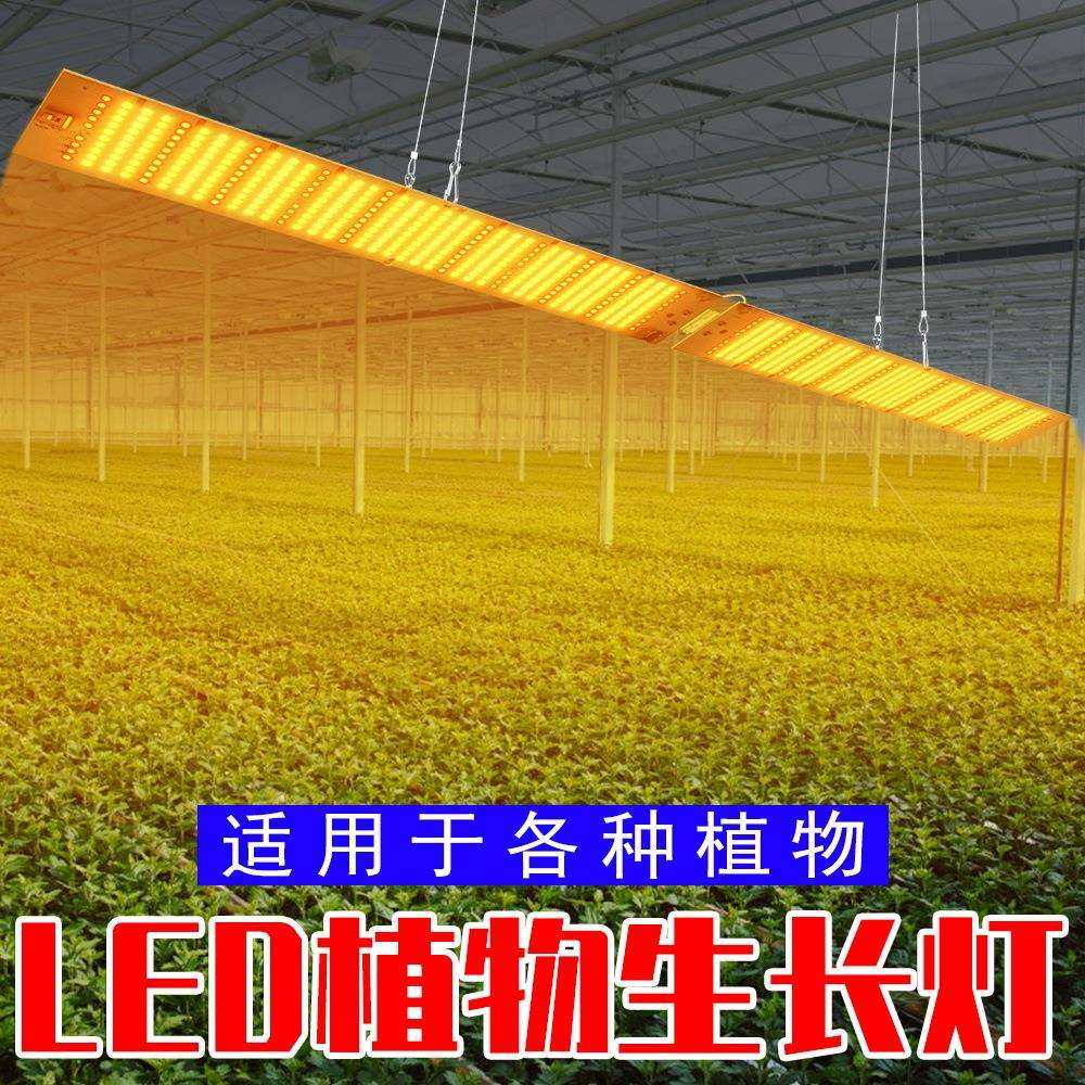 亚马逊热卖折叠量子板植物灯补光全光谱led植物生长灯多肉种植灯