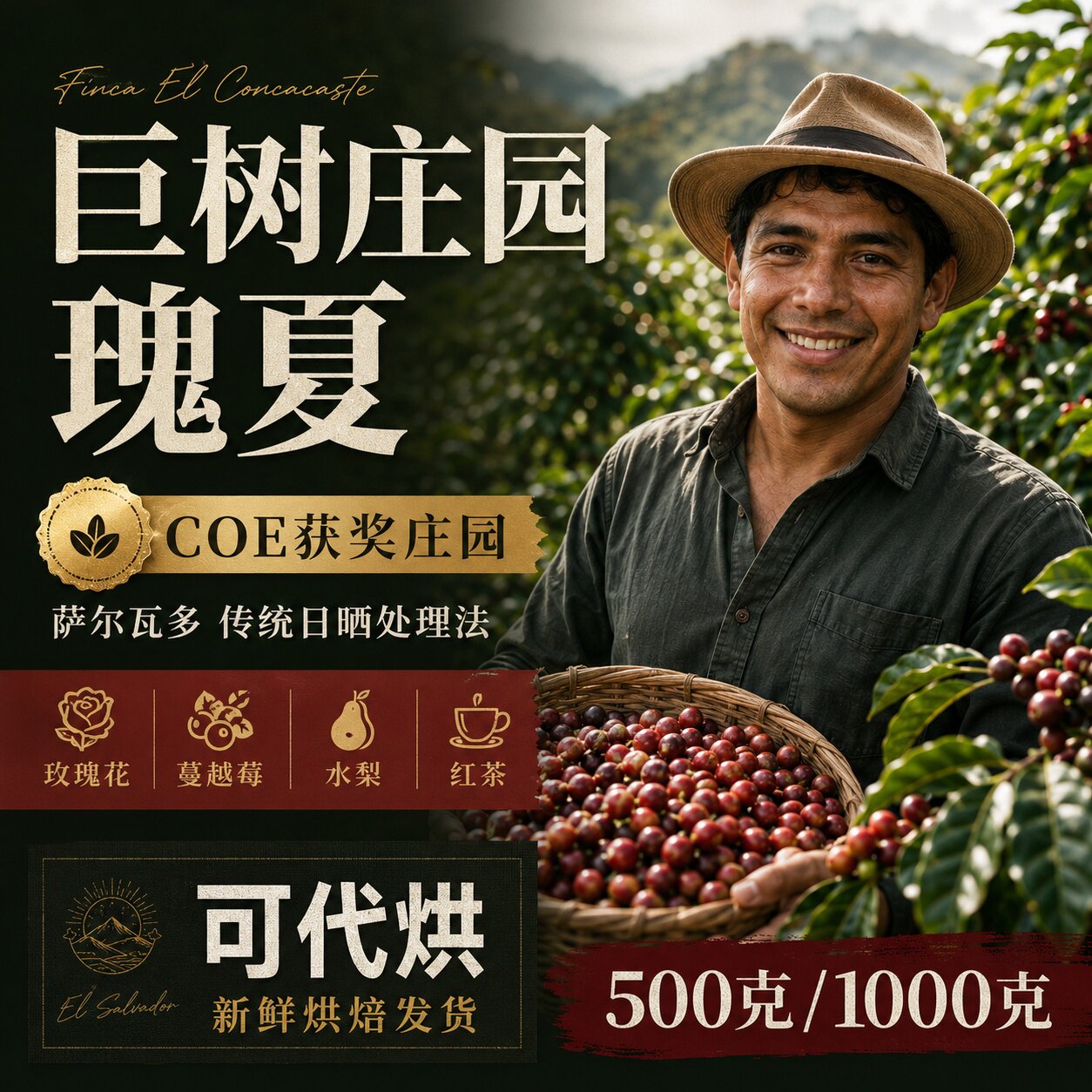 （咖啡生豆）COE获奖巨树庄园瑰夏咖啡豆萨尔瓦多日晒咖啡豆手冲图片