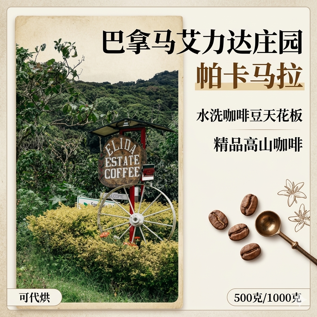 （咖啡生豆）巴拿马艾力达庄园帕卡马拉咖啡豆水洗咖啡豆可代烘
