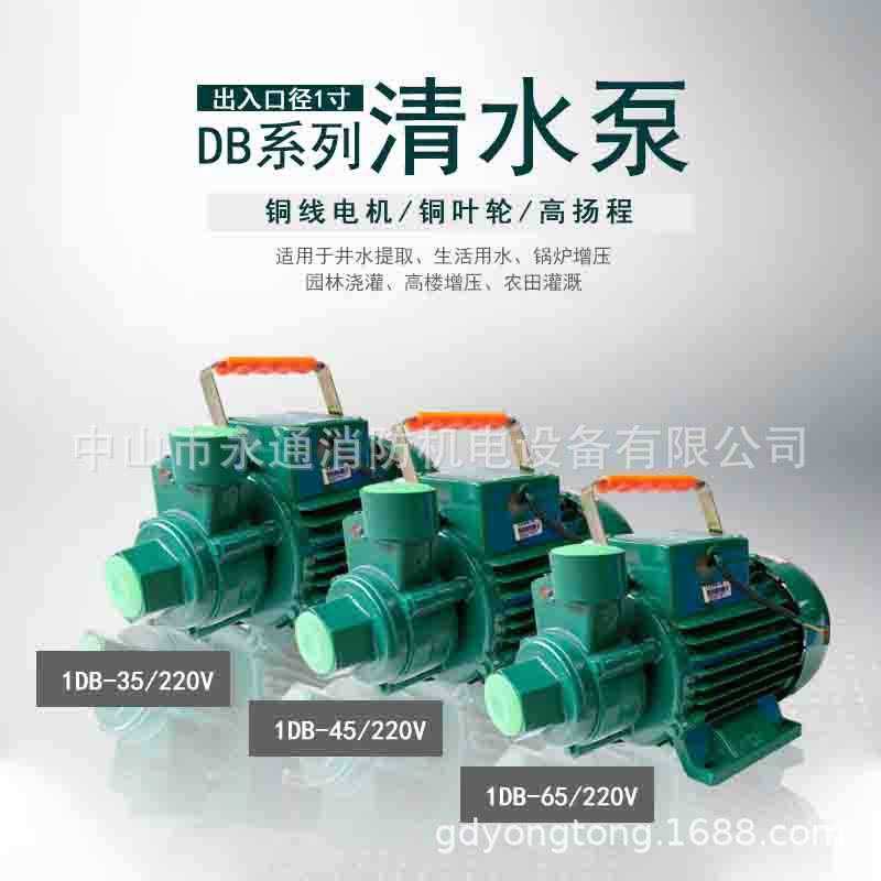 1DB45增压泵220V家用花园厂房自来水管道增压微型清水离心泵