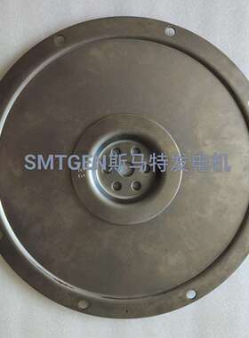 利莱森玛发电机TAL-A42-HJ弹性连接盘驱动钢片11.5#盘片外径353mm