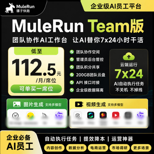 骡子快跑（Mulerun）Team版 月付下单即发