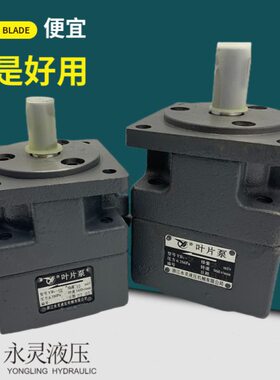 /1居永灵Y/50.B/-1012/56-316D//6仙叶片泵3208Y32/00/25B/10./10