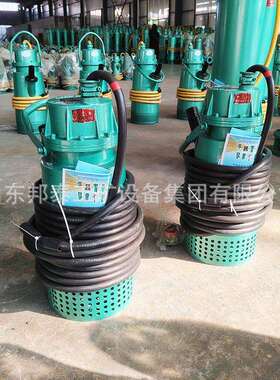 BQS15-30-4/N 无堵塞矿用防爆潜水泵 BT4等级 化工厂用排污泵380v
