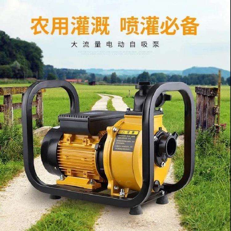 升级新款电动排水泵 小型手抬移动式抽水机 厂家发货电动水泵