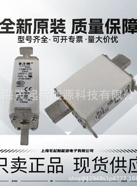 170M1320 170M1411 170M1570 170M1565 170M1321 170M1322 熔断器