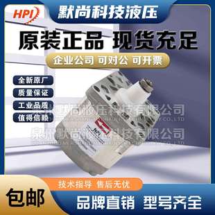 2515 2625 2518 2620 2627液压油泵 2522 法国HPI齿轮泵P2BAN2512