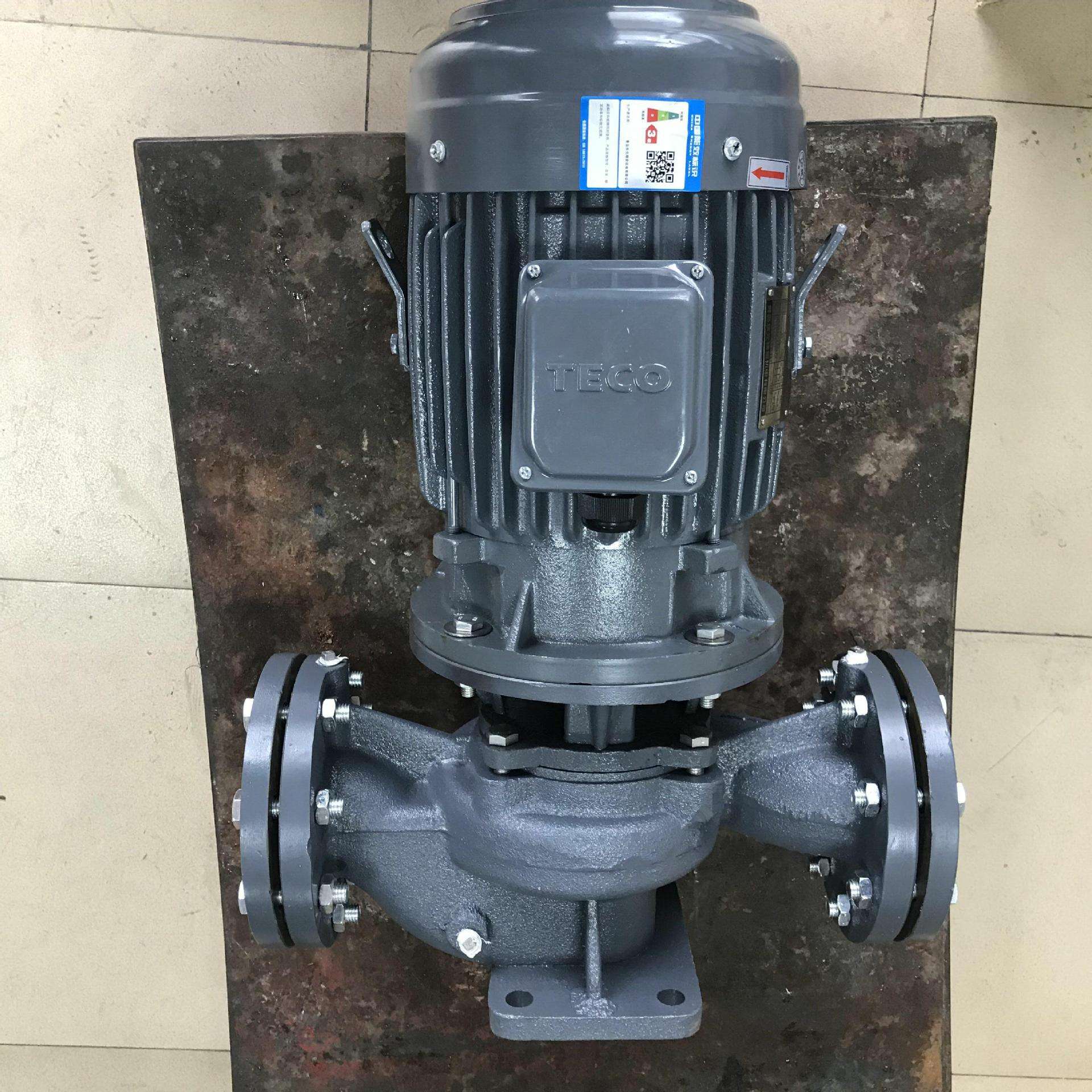 东元立式水泵TEGH112M1-2 5HP 3.7KW 2P 口径3寸 铸铁材质