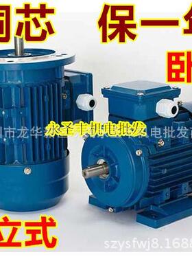 MS802-4铝壳三相异步电动机750W卧式马达YS801-2立式电机0.75KW