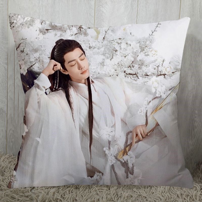 肖战周边抱枕玉i骨遥时影同款定制靠枕双面玩偶送女生粉丝应援枕