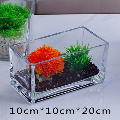 郁金香花盆 专用正方p形长方形玻璃花瓶透明绿萝睡莲水养花盆器皿