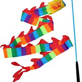 甩甩彩带舞龙幼儿园儿童道具带广场舞龙龙龙龙手彩带耍健身空竹龙