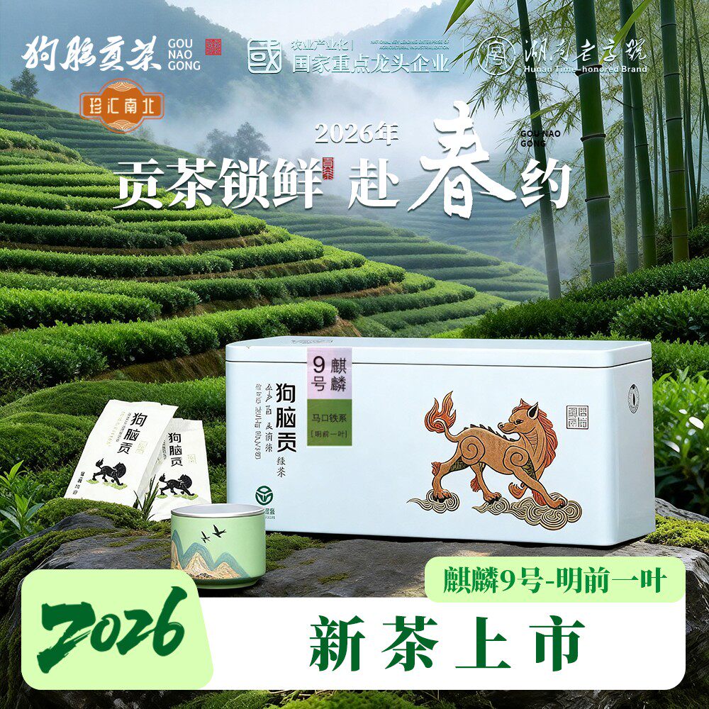 9号明前绿茶2026新茶上市湖南特产狗脑贡茶叶马口铁绿茶礼盒250g