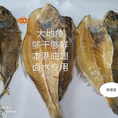 隆江猪脚卤水专用500克大地鱼干(铁脯鱼)油翅,高汤提鲜增香调味料