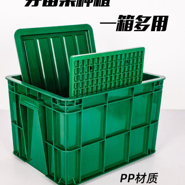 豆芽育苗盘塑料盆家用种植生豆芽黄豆罐绿豆花生桶菜发盆豆芽机芽