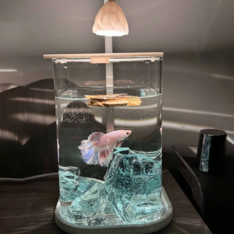斗鱼专用双缸鱼缸装饰高透客厅迷你小型造景N玻璃桌面双格创意生