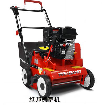 维邦WB384RC疏草机 草坪疏草机 园林绿化草坪养护梳草机