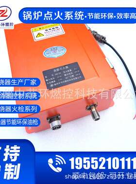 燃煤锅炉高能点火器 BWBD-20 工业高频脉冲点火控制箱