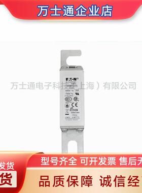 170M1842/1843/1844/1845/1846/1847/1848/1849熔断器原装现货