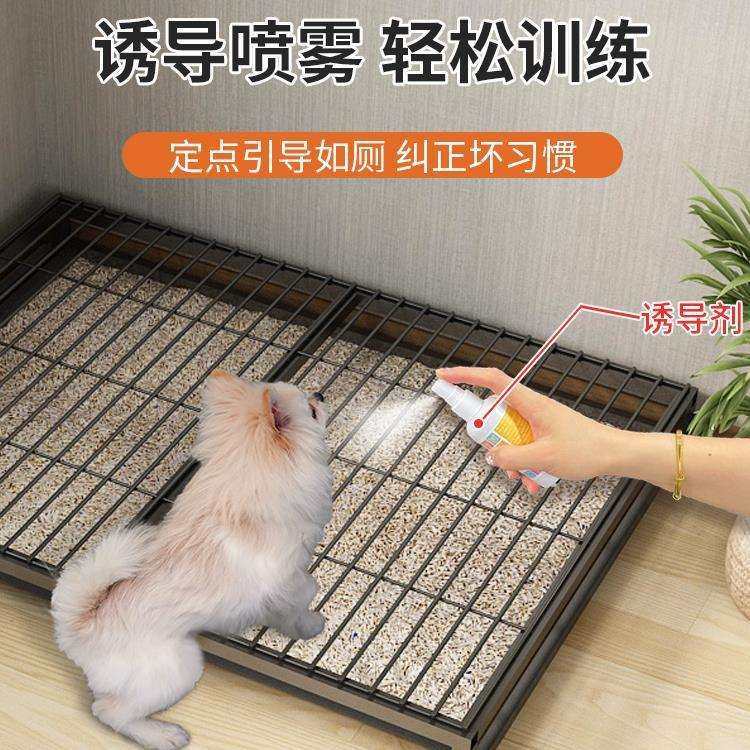 狗厕所小型犬狗狗尿盆砂盆中型犬便盆宠物比熊泰迪小狗拉屎盆,鲜花速递/花卉仿真/绿植园艺,割草机/草坪机,淘宝优惠券,粉丝福利购,淘宝优惠卷