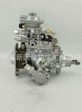 厂家销售VE泵燃油泵总成0460424282 2852046R 504063450