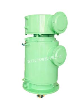 YZPSLE132S-4/5.5KW 立式水冷电机