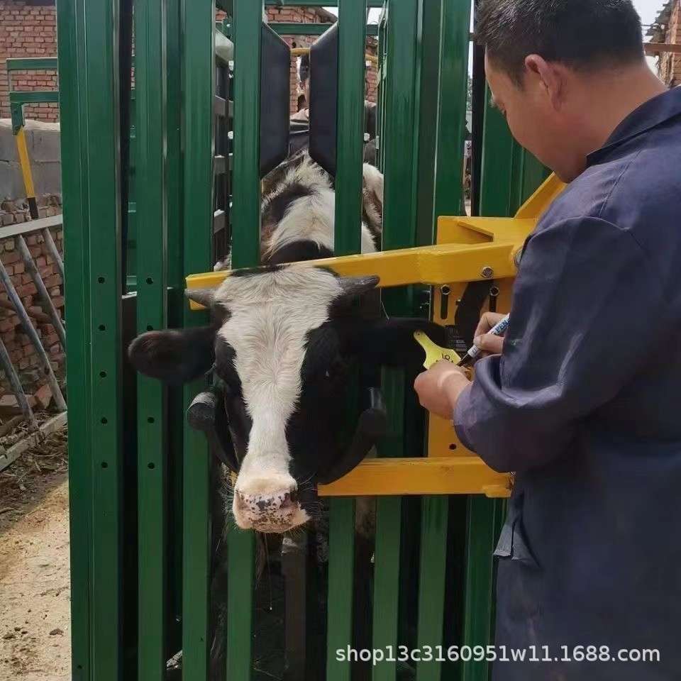 牛头夹 牛头保定器 可安装在牛颈伽 各种围栏上 灵活多用 喷塑处