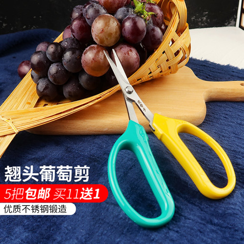 翘头葡萄剪刀采果采摘剪园艺桔子稀果剪果树疏果修枝专用剪花艺剪