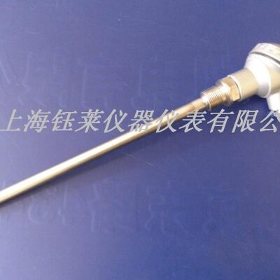温度传感器010WmmT探头 铂 130仿=P-热电阻P日式L022电阻Z