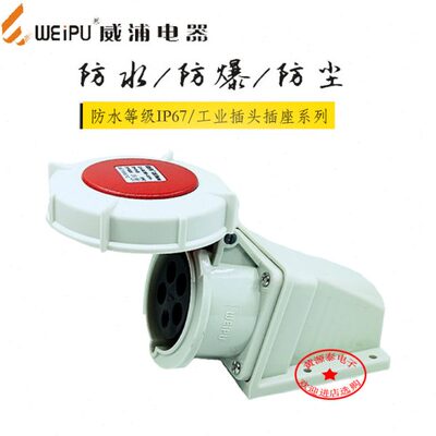 明装插座 WT工业插座324IPP芯IPUY 威浦浸防  电器7E86A582