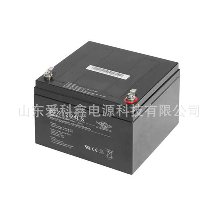 WING蓄电池ES4-12D 12V4AH 铅酸免维护储能电池