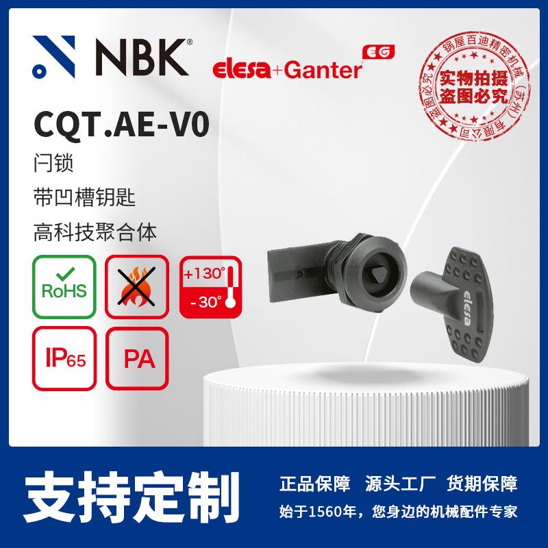 NBK ELESA CQT.AE-V0 闩锁带凹槽钥匙 高科技聚合体 机械配件厂家