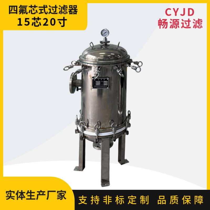 不锈钢精密保安过滤器喷涂四氟过滤器耐酸碱过滤设备PTFE折叠滤芯