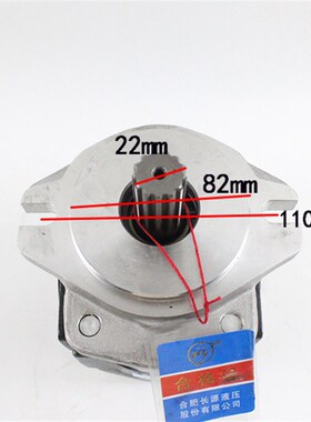 叉车齿轮油泵液压泵CBHZA-F30-AF&13齿右泵杭叉50R 60R 70R 5 6吨