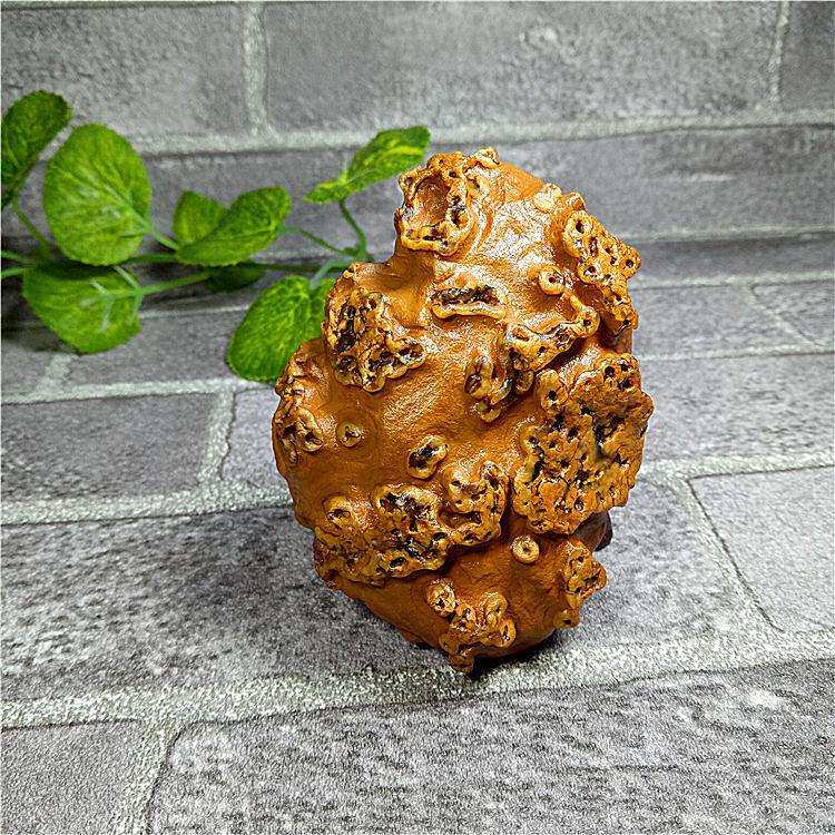 供应珠宝奇石筋脉石原石小摆件 阿拉善玛瑙手把件 风景石花开富贵