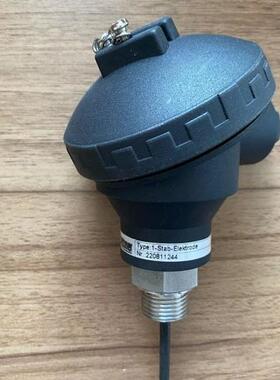 德国Dittmer热电偶