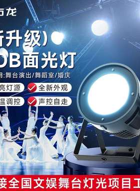 200瓦面光灯舞台表演补光灯dmx柔光灯室宴会厅婚庆正白暖色帕灯