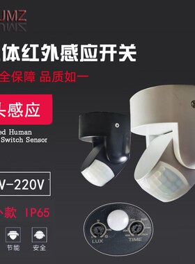 双探头户外人体红外感应开关220v防水IP65楼梯道智能高灵敏感应器