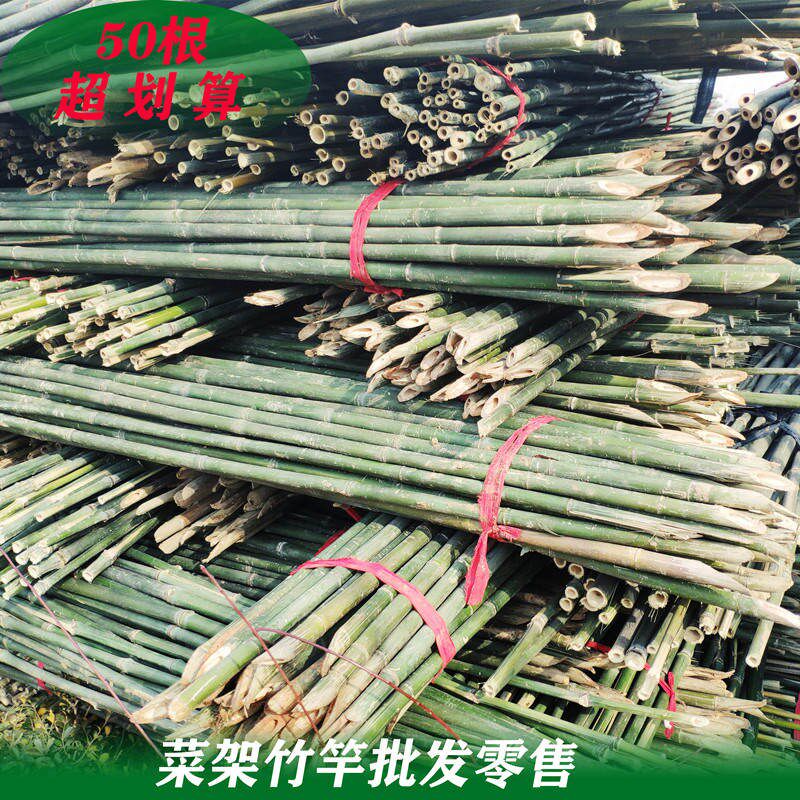 豆角架黄瓜架子小竹子细竹竿菜园搭架 园艺户外棍竹杆1米2米3米