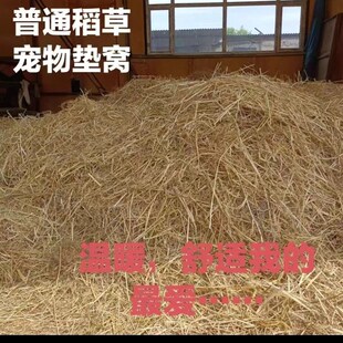 新稻草天然宠物鸡窝草干稻草牛羊猪饲料狗鸭窝草道具谷草秸秆