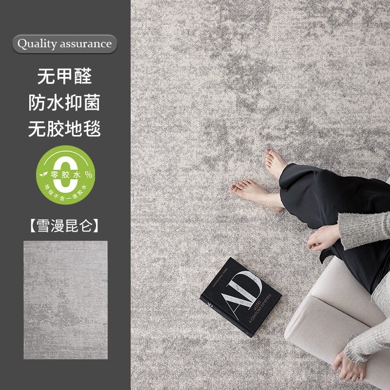 无胶防水客厅地毯意式轻奢风沙发茶几D垫现代简约高级卧室2025新
