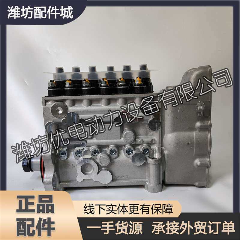 潍柴WP10船用柴油发动机发电机组1003569709ZY电调高压喷油泵总成图片