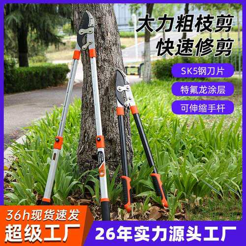 鲁威工具枝剪园林果树修枝剪园艺粗枝剪园林绿化工具伸缩果枝剪