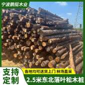 修饰木 2.5米东北落叶松木桩 原木景观装 工地河堤用削尖打桩木桩