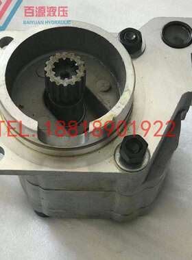 A8VO107液压泵 卡特E320B 325先导泵A8VO55 80 140 160 200齿轮泵