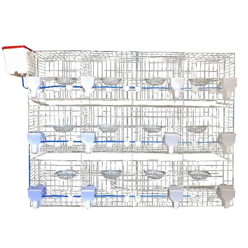 鸽子配对笼养殖繁殖笼12位16位肉鸽家用室外鸽舍专用组装鸽笼加粗